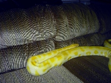 Girl-on my couch